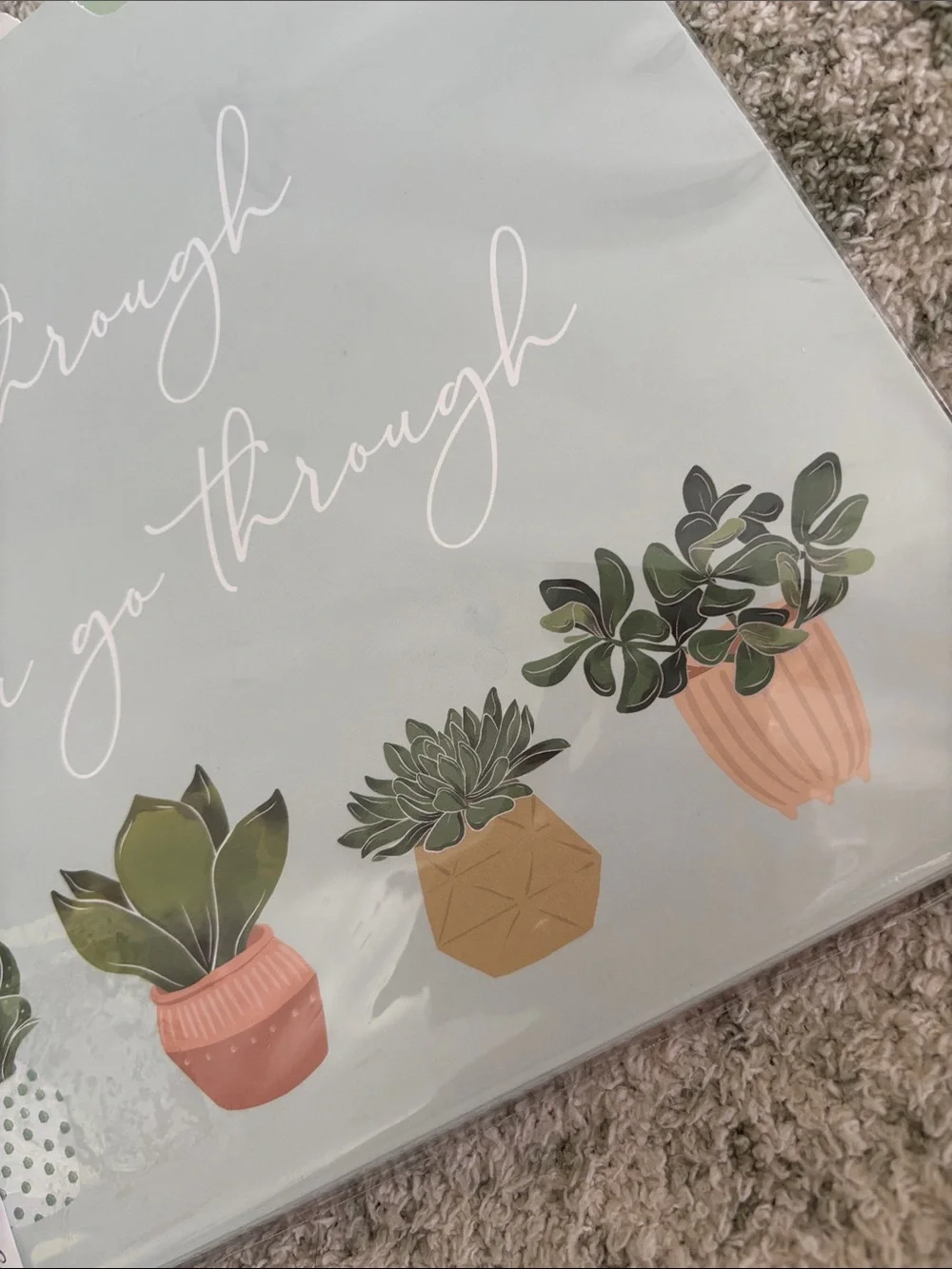 Punch Studio Designer Mint Green Succulent Cactus File Folders Set of 9 NWT